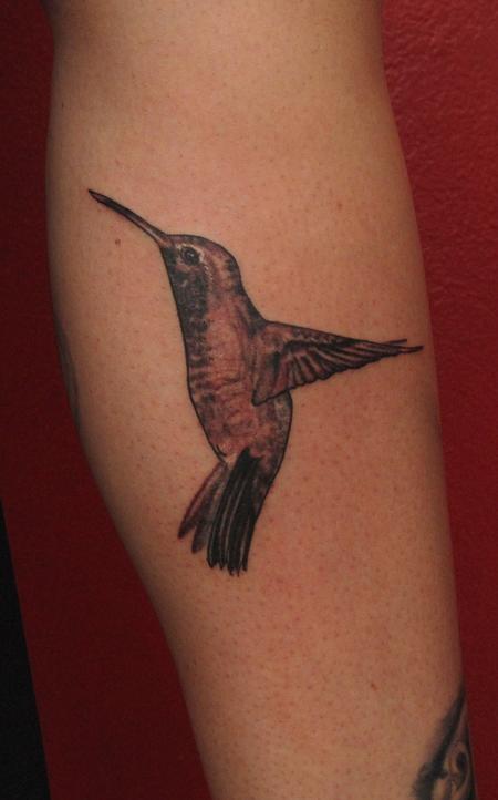 Robert Hendrickson - black and grey hummingbird 